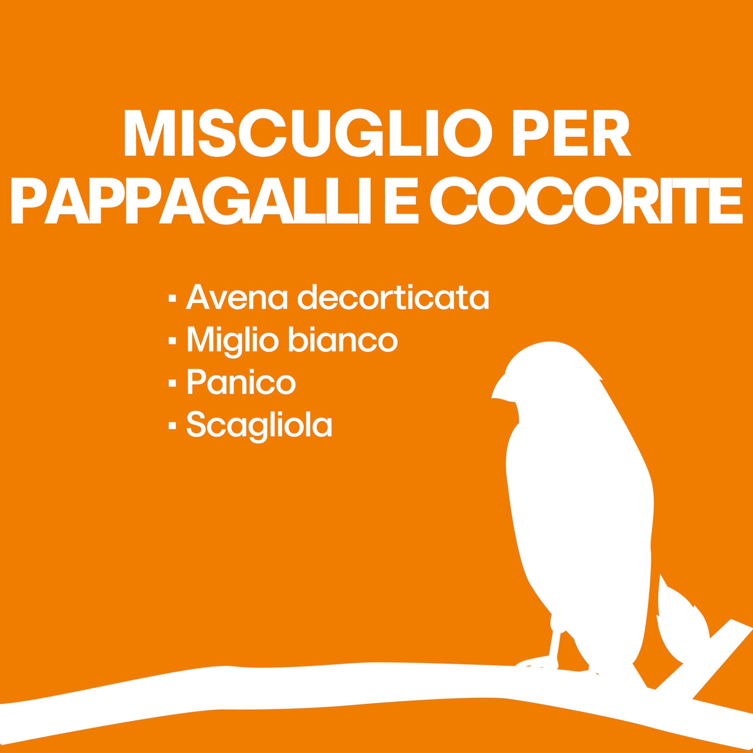 Il Contadino - Antichi Becchimi | MISCUGLIO per PAPPAGALLI e COCORITE | Formula Ricca di Semi Selezionati Adatta per Tutto L'Anno, No OGM, 100% Vegetale, Assenza di scarti. qualità Superiore (1 kg)