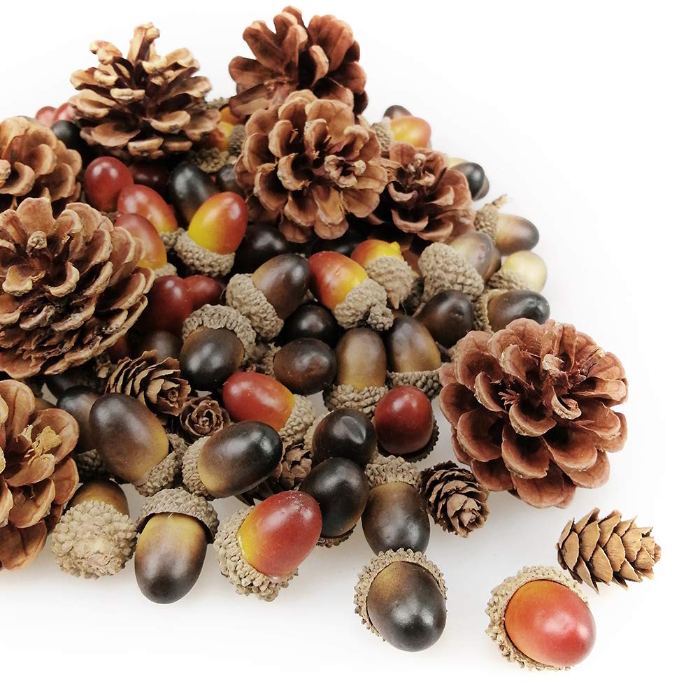 Natural Vase Fillers Decor For You