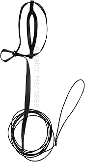 The AVIATOR Pet Bird Harness and Leash: X-Small Black