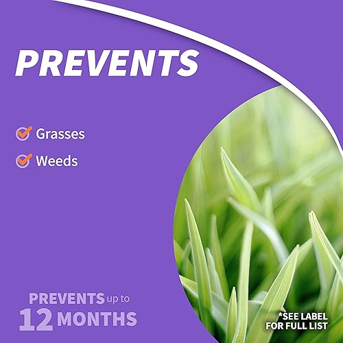 Miniatura 3 de Bonide Ground Force Vegetation Killer, concentrado de 128 onzas proporciona protección durante todo el año contra malezas, hierbas y raíces