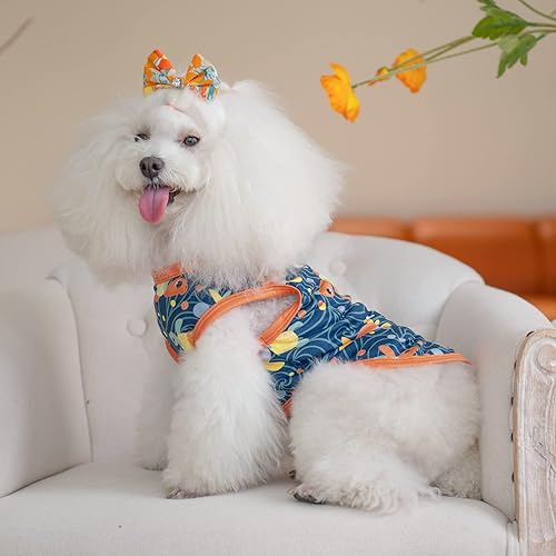 Miniatura 5 de CuteBone Paquete de 2 camisas para perros, ropa suave para mascotas, chaleco de verano transpirable para cachorros pequeños y ropa elástica para