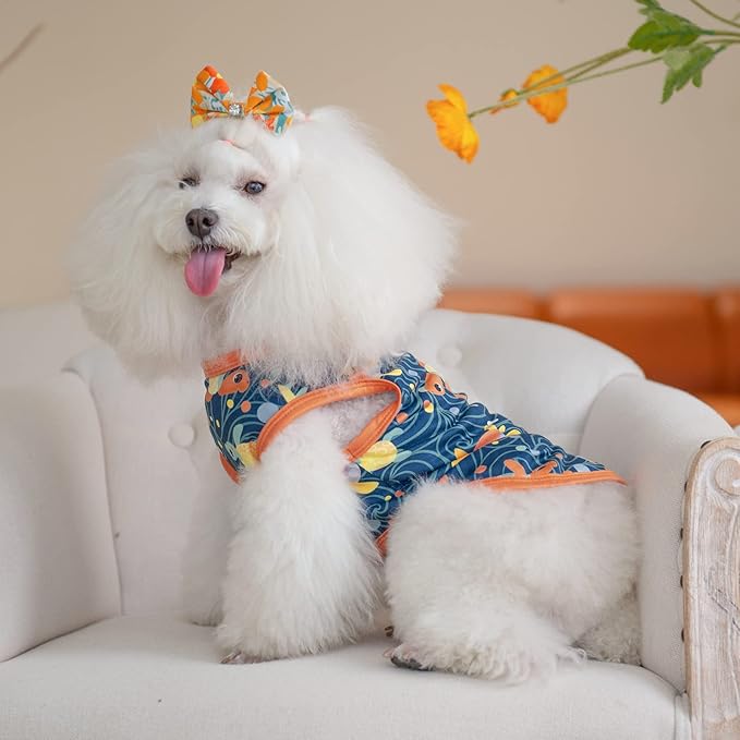 CuteBone Camisetas para Perros 2 Pack Ropa Suave y Transpirable miniatura 5