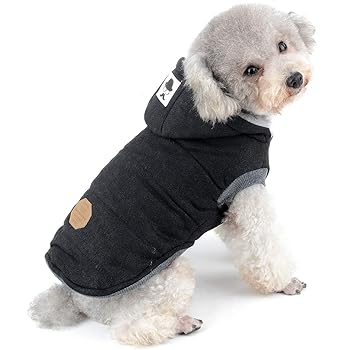 what do you call a spayed female cat