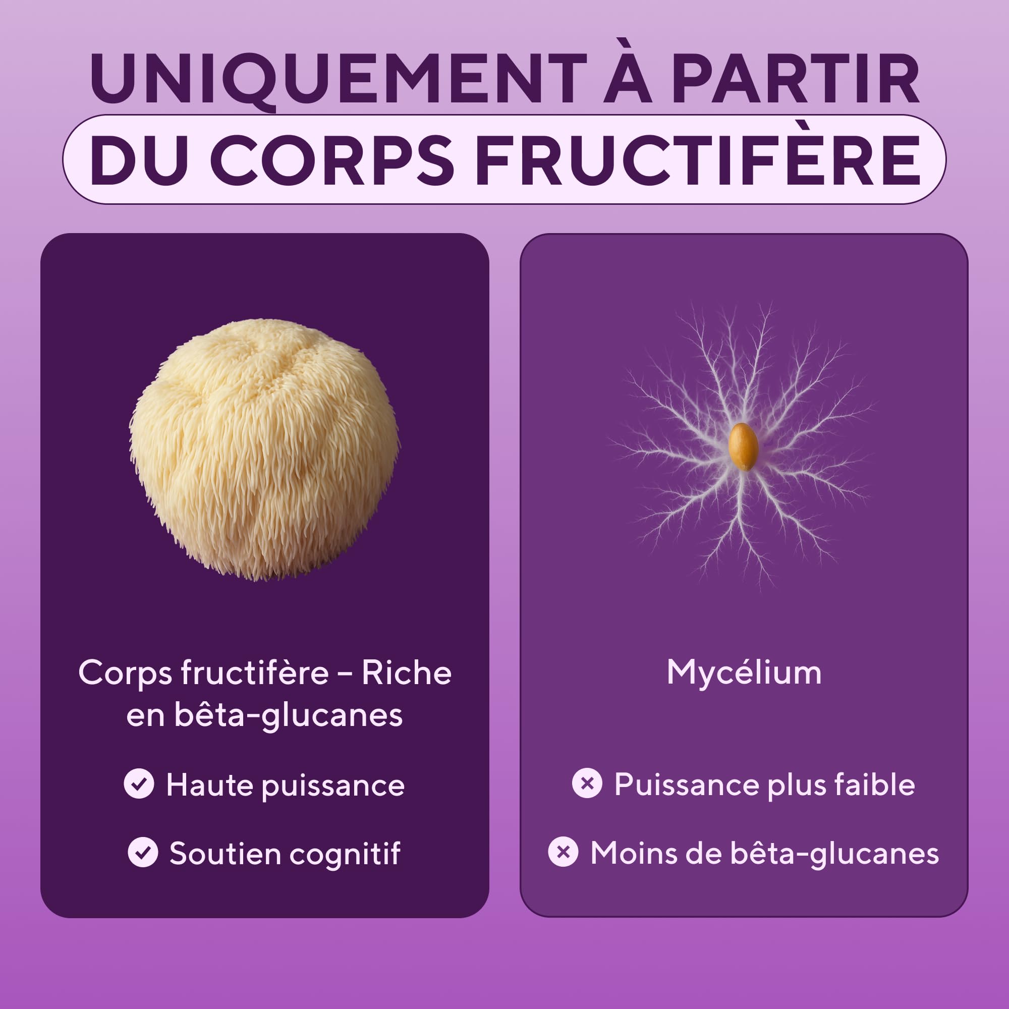 Lion's Mane - 10 000 mg - Gélules de crinière de lion – Extrait de champignon Hericium Erinaceus 10:1 – Naturel et sans OGM (180 capsules)