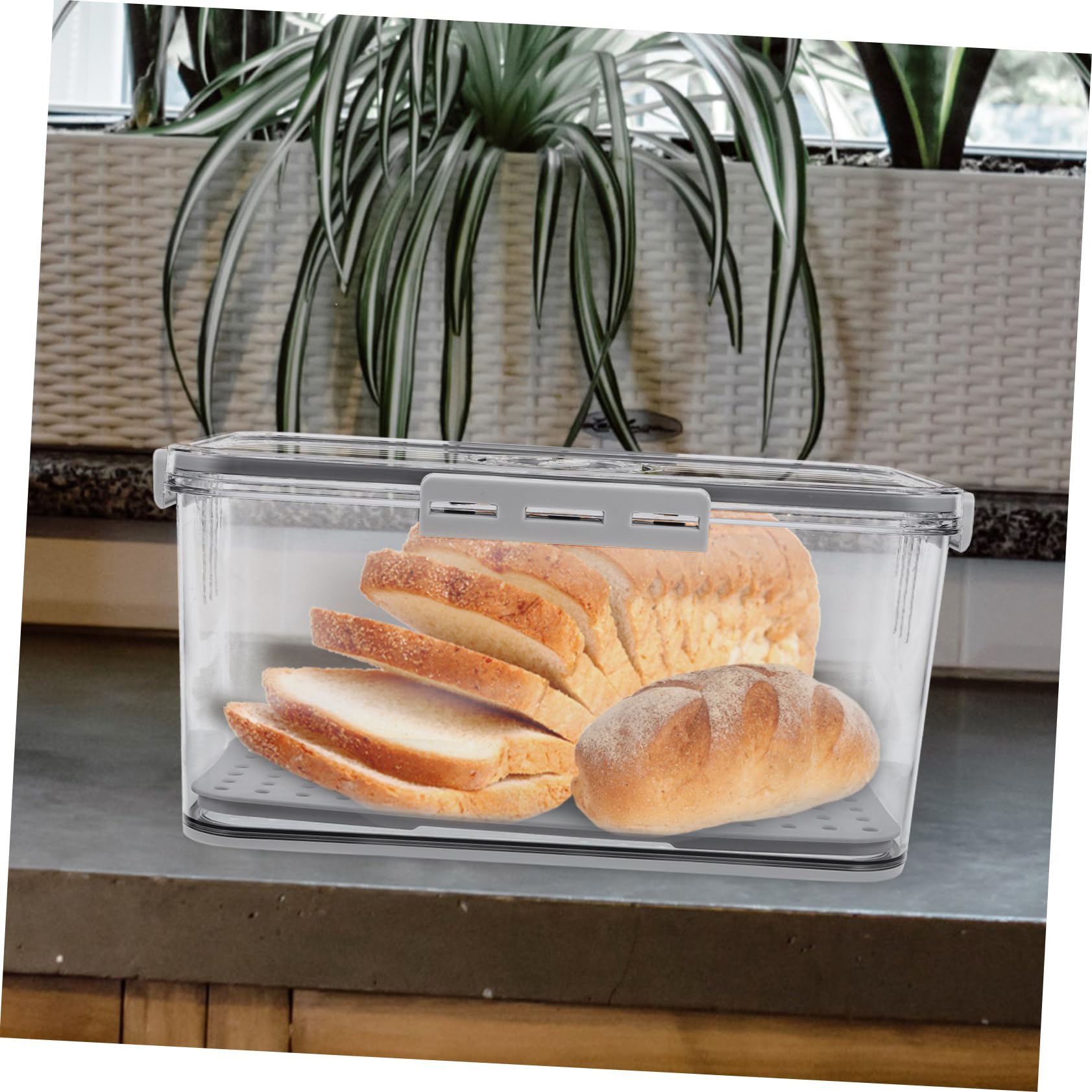 COLLBATH Frischebox aus Pet mit Deckel und Abtropfplatte für Kühlschrank | Transparentes Design, Hält Lebensmittel Frisch, Geeignet für Obst und Speisen in Schränken