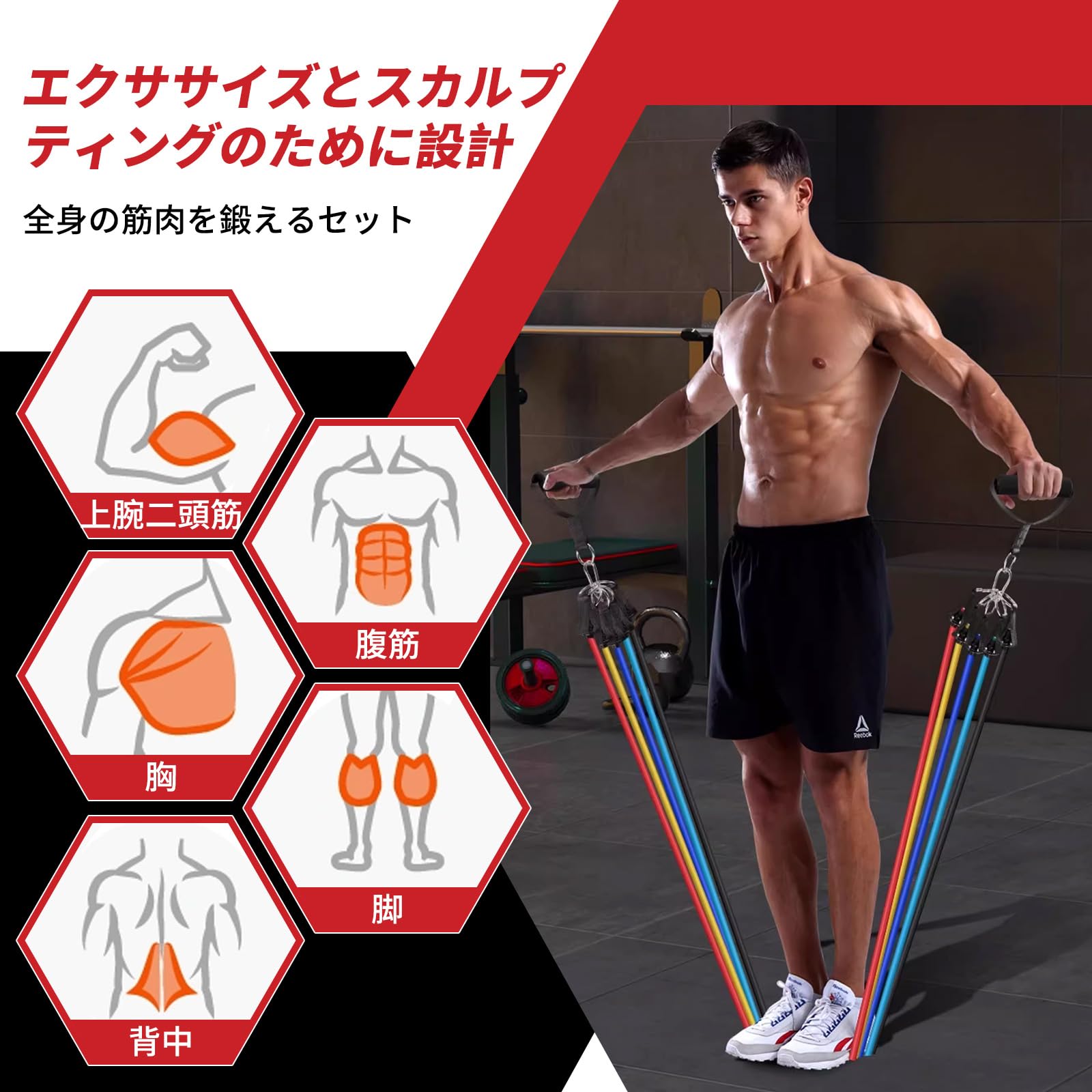 Amazon.co.jp: E-THOL トレーニングチューブ エクササイズバンド