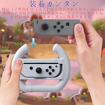 Nintendo Switch グレー 本体&周辺機器＋マリオカートデラックス8 マリオカート8 デラックス』とSwitch本体のセットがロシアの