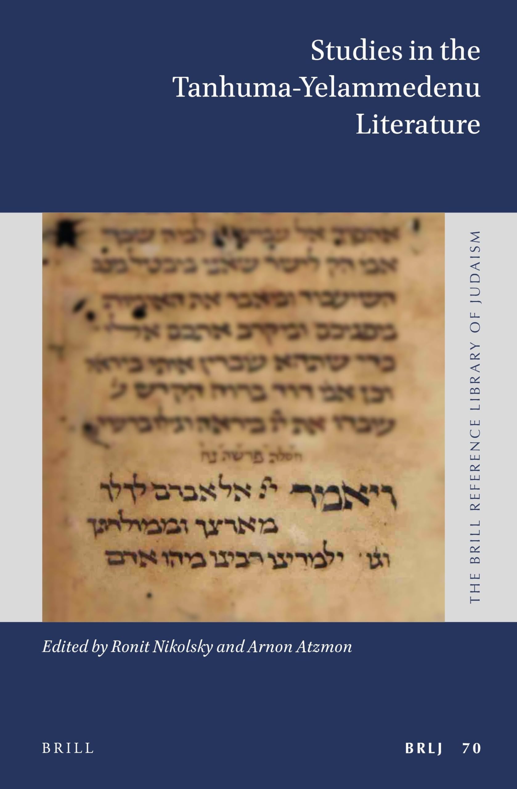 Studies in the Tanhuma-Yelammedenu Literature: 70 (The Brill Reference Library of Judaism, 70)