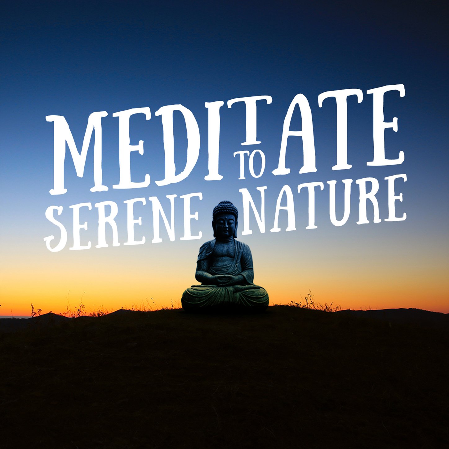 Meditate to Sounds of Nature