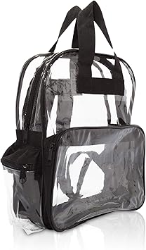 small clear backpack