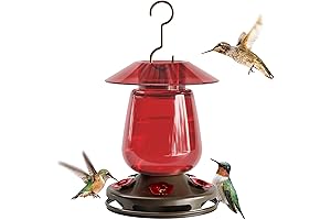 Auslar Glass Hummingbird Feeder: A Nectar Oasis for Your Feathered Gems