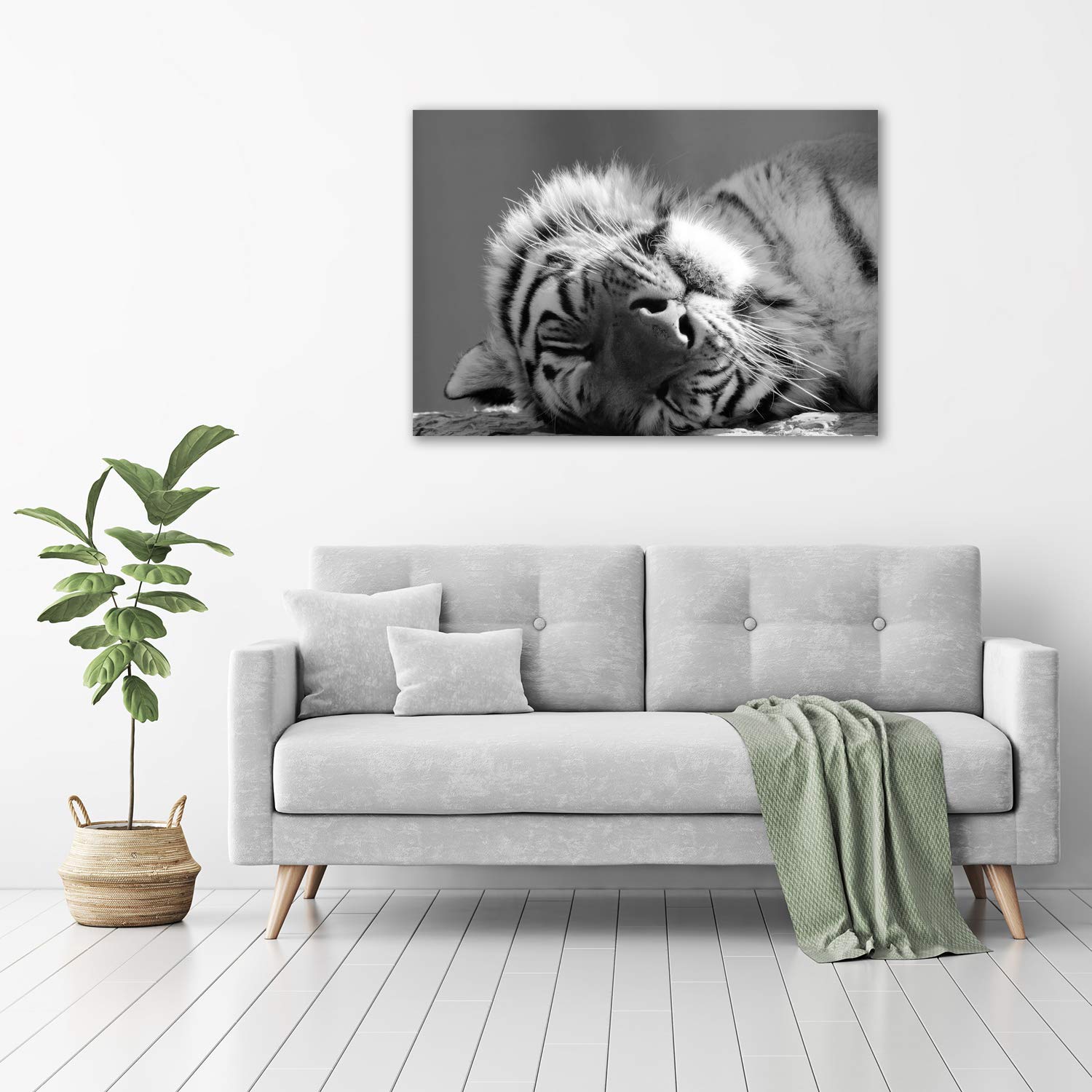 Tulup Impression sur Verre de 100x70 cm Image Tableau Photo décorative panoramique pour la Cuisine et Le Salon - Animaux - Tigre Endormi - Noir et Blanc