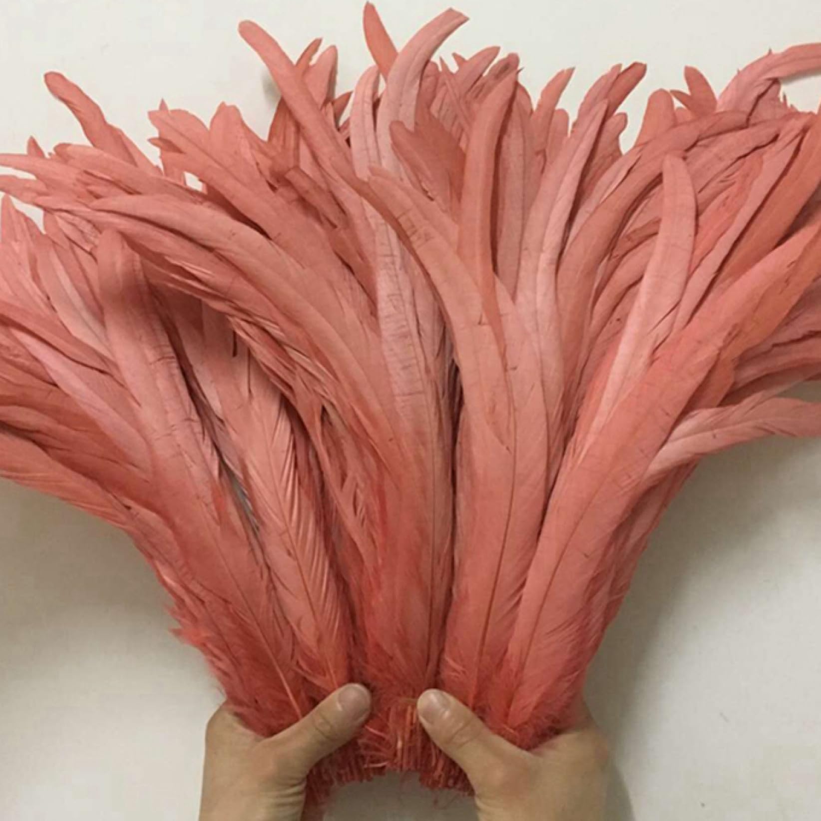 Frędzle z piór, Wstążka z piórami ogona, frędzle piór, 100 szt. Surowe pióra ogony pióropusze dekoracje domowe rzemiosło weselne akcesoria(Hot Pink)