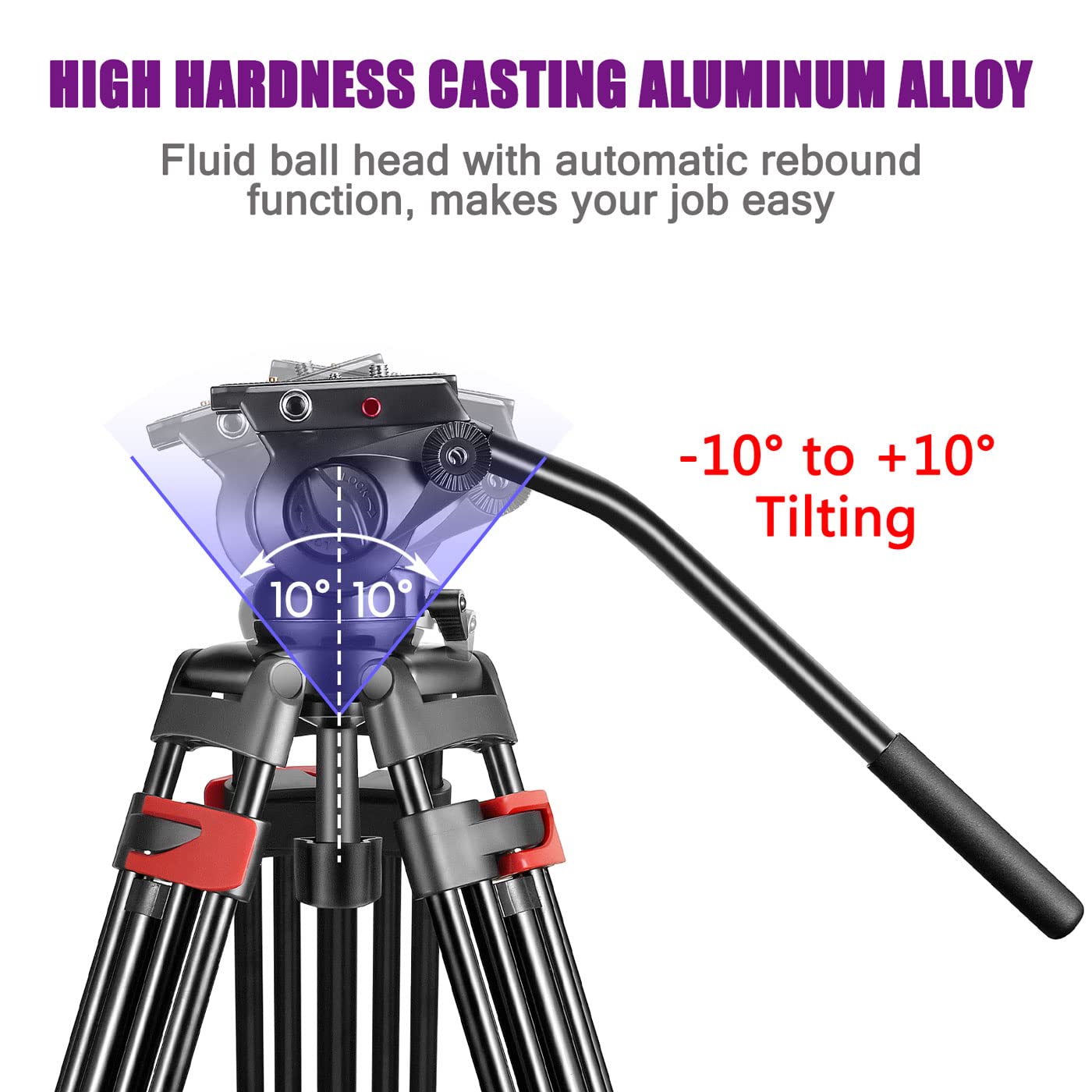 https://m.media-amazon.com/images/I/71P10hj7jvL.jpg
