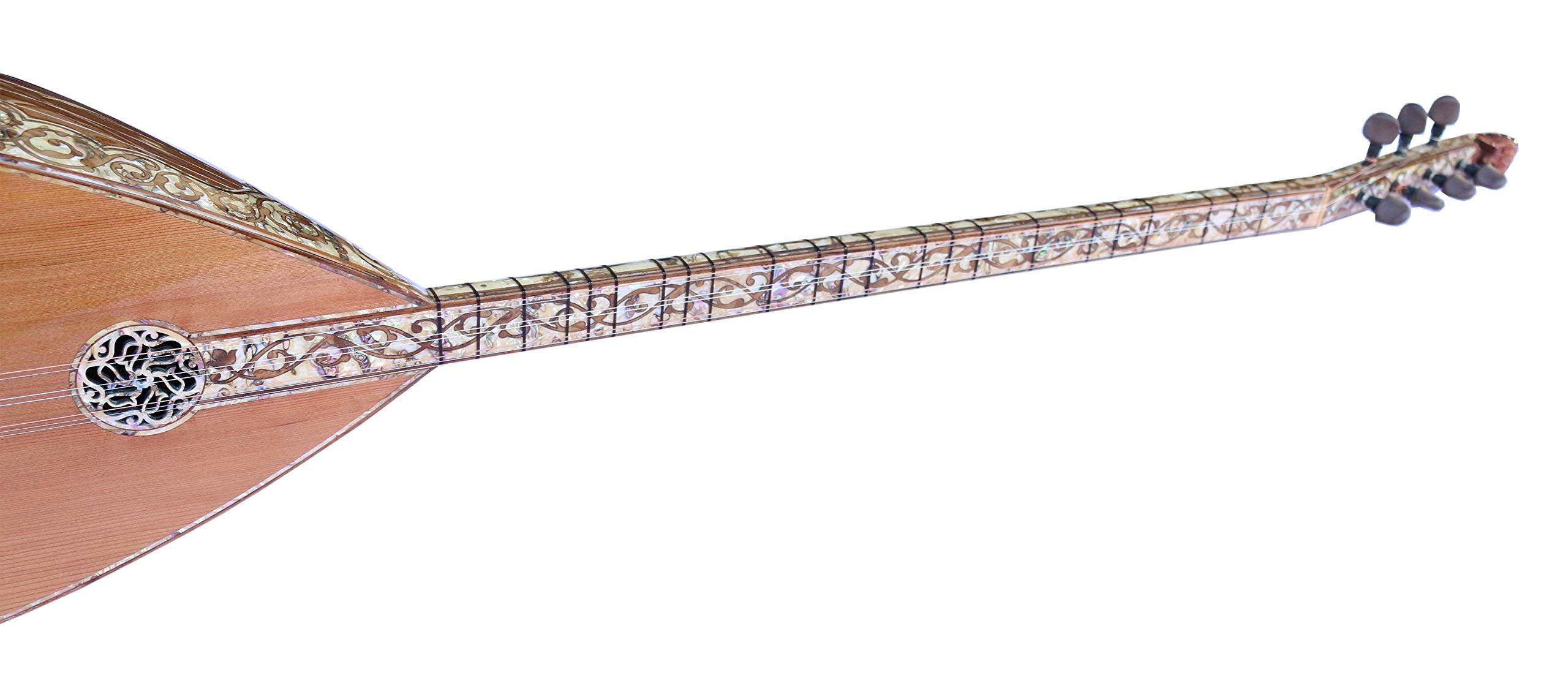 Amazon | スペシャルロングネック バーラマ サズ 弦楽器 PEARL-1