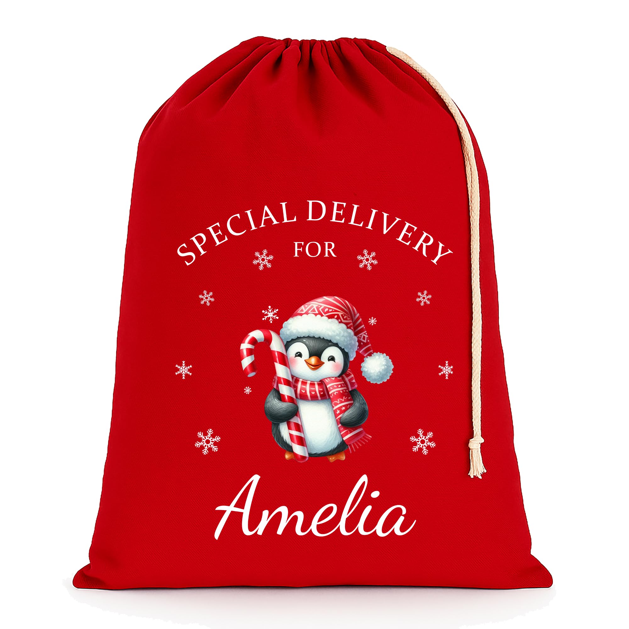 Chicken Craft Personalised Christmas Santa Sack with Custom Name - Extra Large - Red - 75x49cm - Penguin