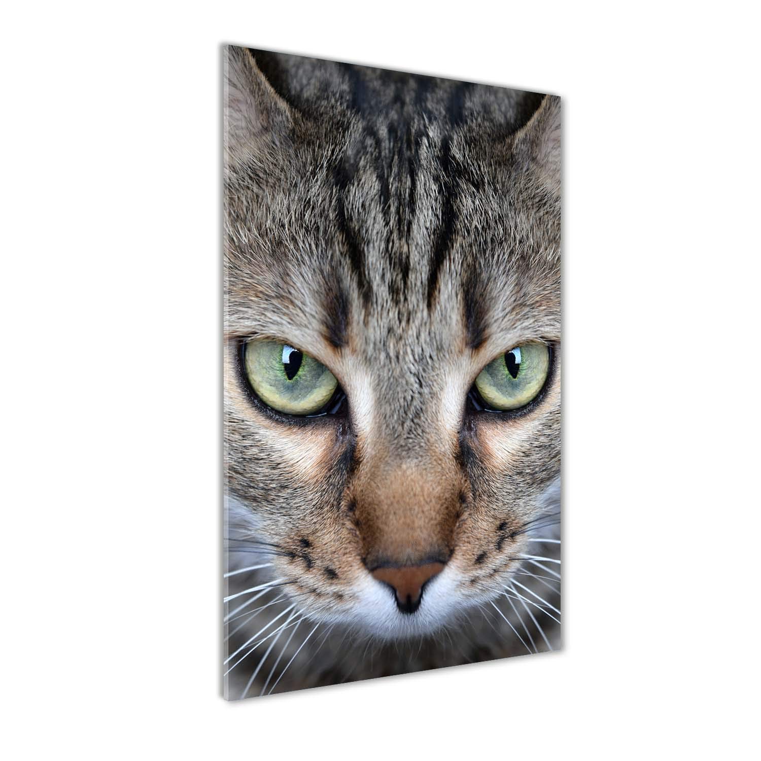 Image sur verre Les Yeux du Chat 60x120 cm pour creer une ambiance chaleureuse en cuisine