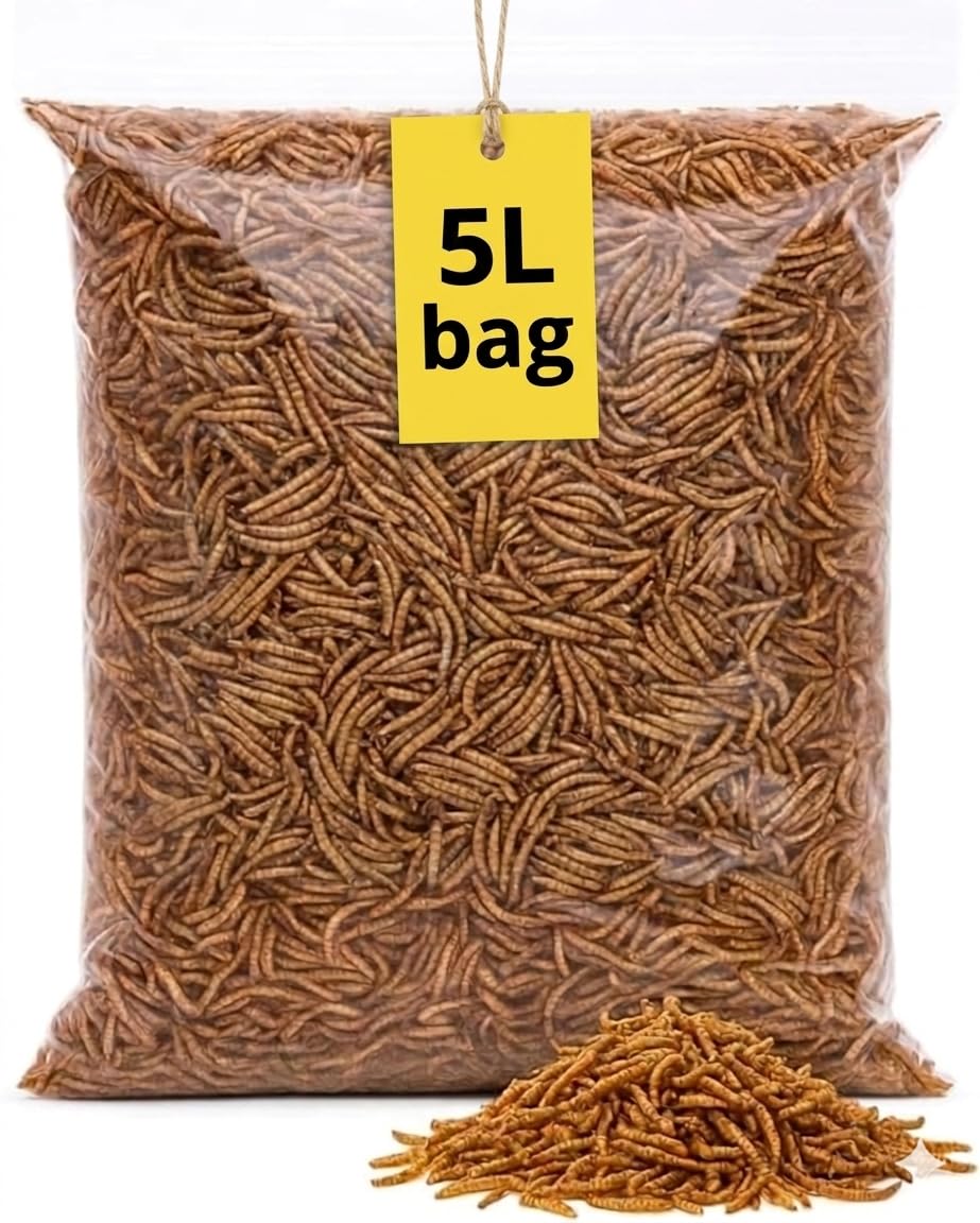5L Standard Mix Seed Bag, Wild Bird Seed for Small Garden Birds, Robin Food, Bird Food for Outside Wild Birds โ image 1
