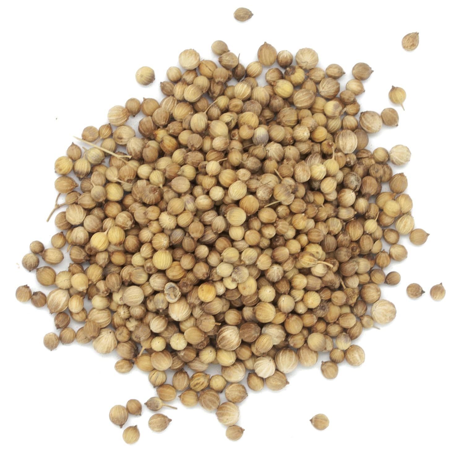 Coriandre en graines - Sachet de 5 kg