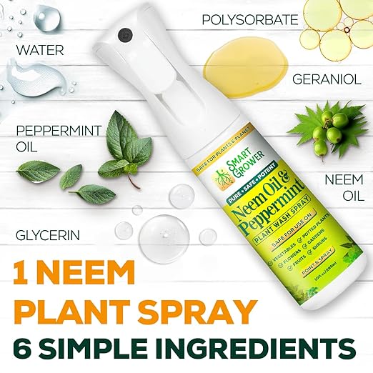 Spray de Aceite de Neem con Menta para Plantas - 10 oz miniatura 4