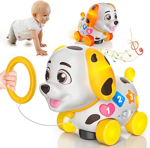 Juguetes para bebés de 6 a 12 meses, regalo de primer cumpleaños para niños de 1 año, juguete musical para gatear y caminar, juguete para cachorros