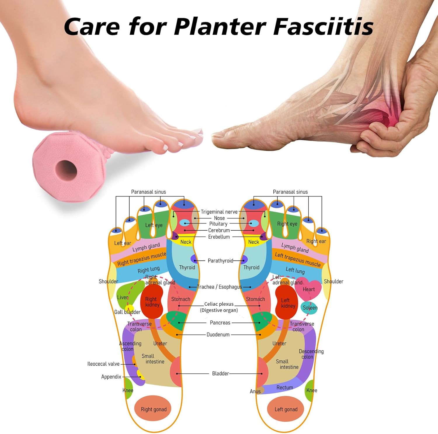 Plantar Fasciitis Relief,Foot Roller,Foot Massager Roller for Deep Tissue Muscle Massage,Portable Reflexology Tool-Pink - Image 5