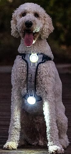 Miniatura 5 de Arnés LED recargable para perro con mando a distancia y cable de carga (extra grande) 2 focos LED para iluminar el área que rodea a tu perro