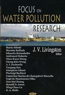 Focus on Water Pollution Research