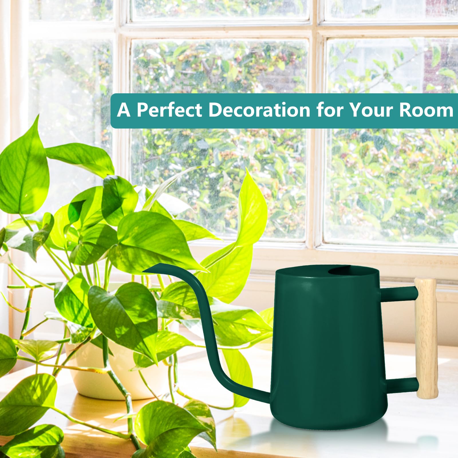 Watering Can Indoor Plants - Image 3