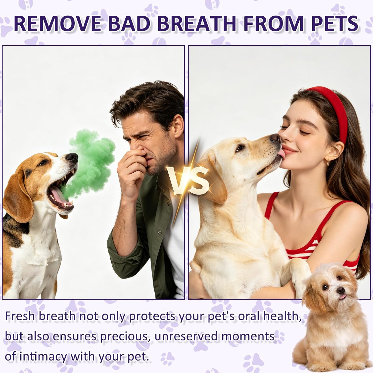 Wanban Cat and Dog Dental Care Spray, Removes Tartar, Freshens Breath, Oral Care, 2 Pack