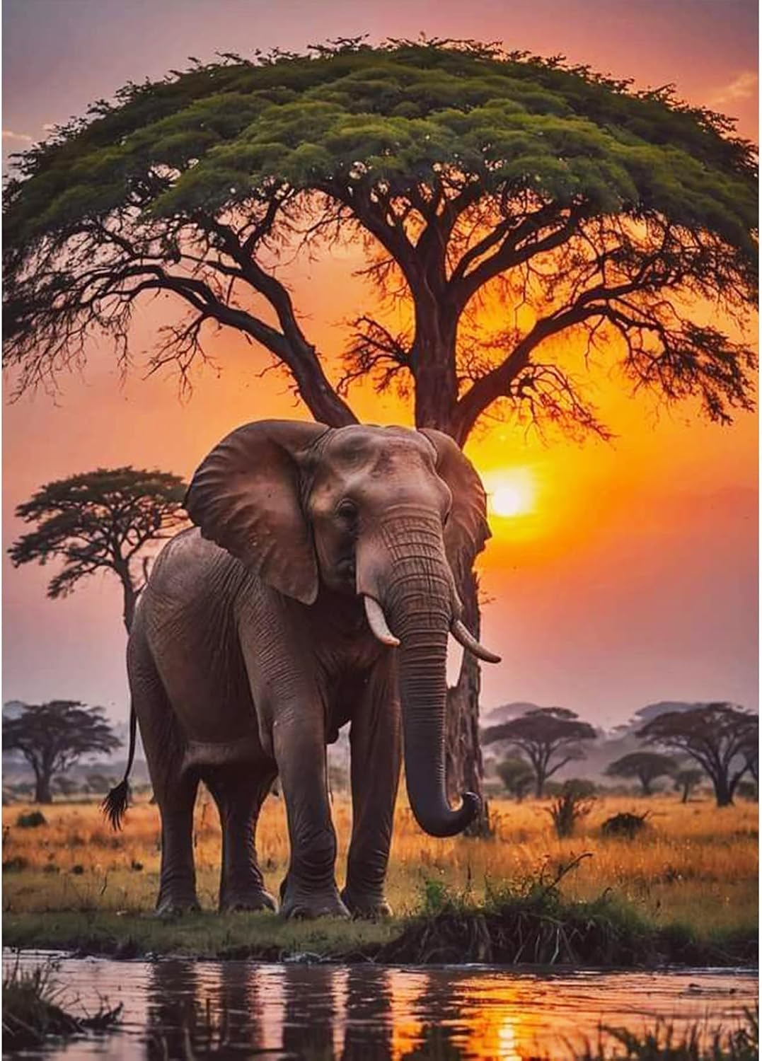 TOSTOG Diamond Painting Kits for Adults,Elephant 5D DIY Diamond Art Kit Full Drill Diamond Crystal Rhinestone Arts and Crafts Picture for Home Wall Decor 30x40cm