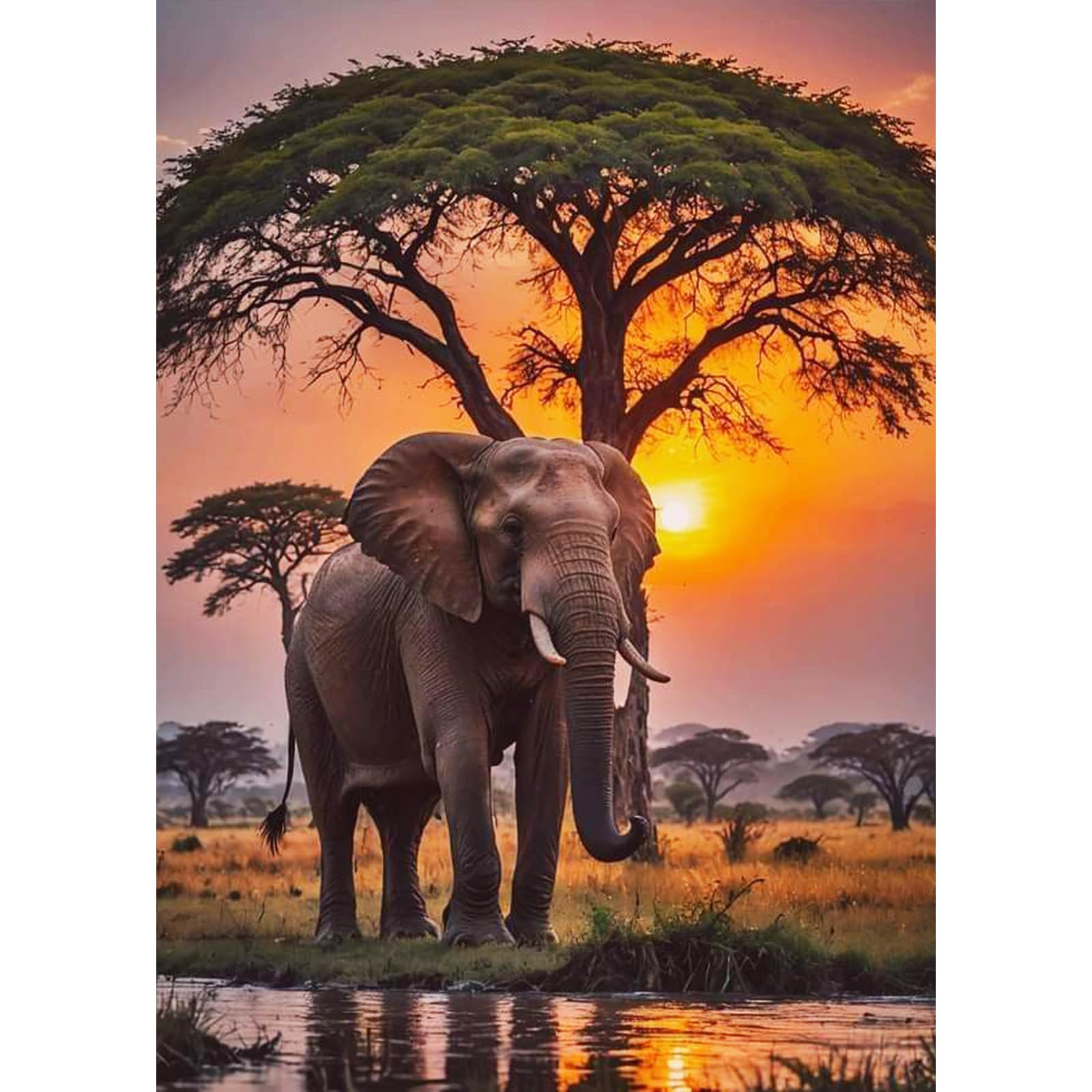 TOSTOG Diamond Painting Kits for Adults,Elephant 5D DIY Diamond Art Kit Full Drill Diamond Crystal Rhinestone Arts and Crafts Picture for Home Wall Decor 30x40cm
