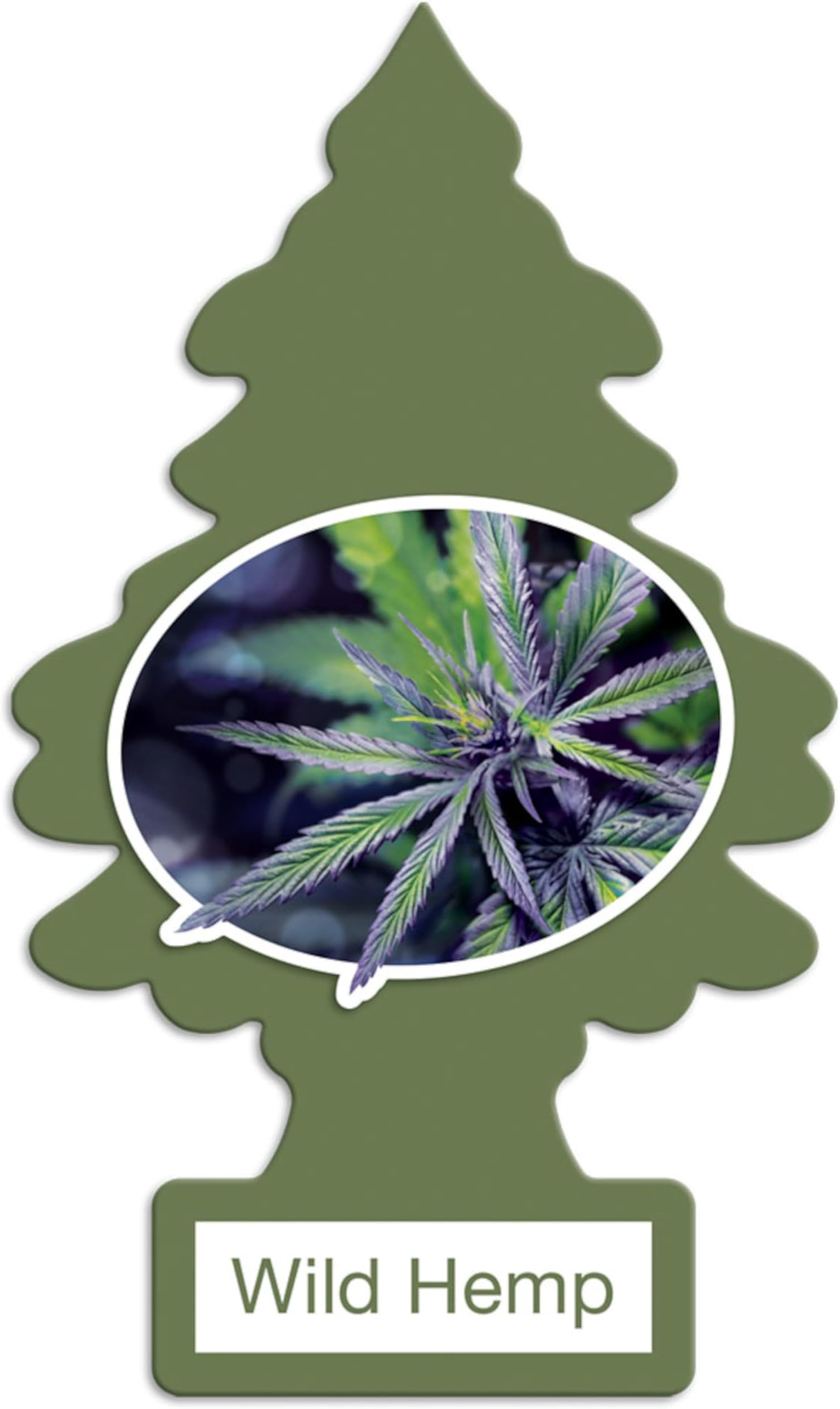 LITTLE TREES Air Fresheners Car Air Freshener. Hanging Tree Provides Long Lasting Scent for Auto or Home. Wild Hemp, 24 Air Fresheners