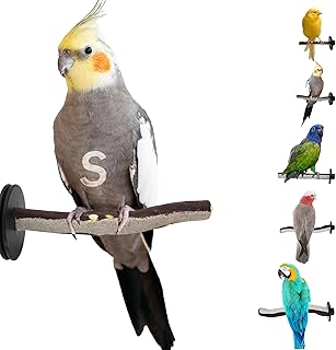 Sweet Feet and Beak Superoost Manzanita Pumice Pedicure Perch- Easy to Install Bird Cage Accessories for Healthy Feet, Nails and Beak - Natural Bird Perches Imitates Birds' Life in The Wild - S 8"