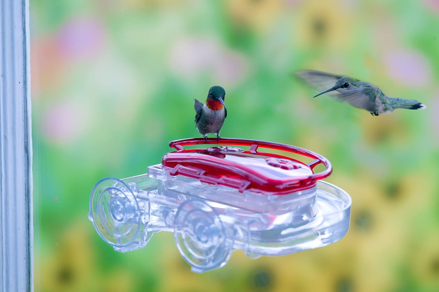 Aspects "The Gem" Window Mount Hummingbird Feeder, 4 oz - 437