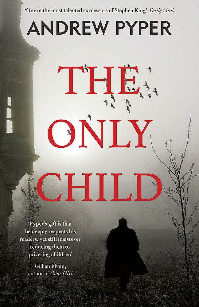 Buy The Only Child — BookShops.in