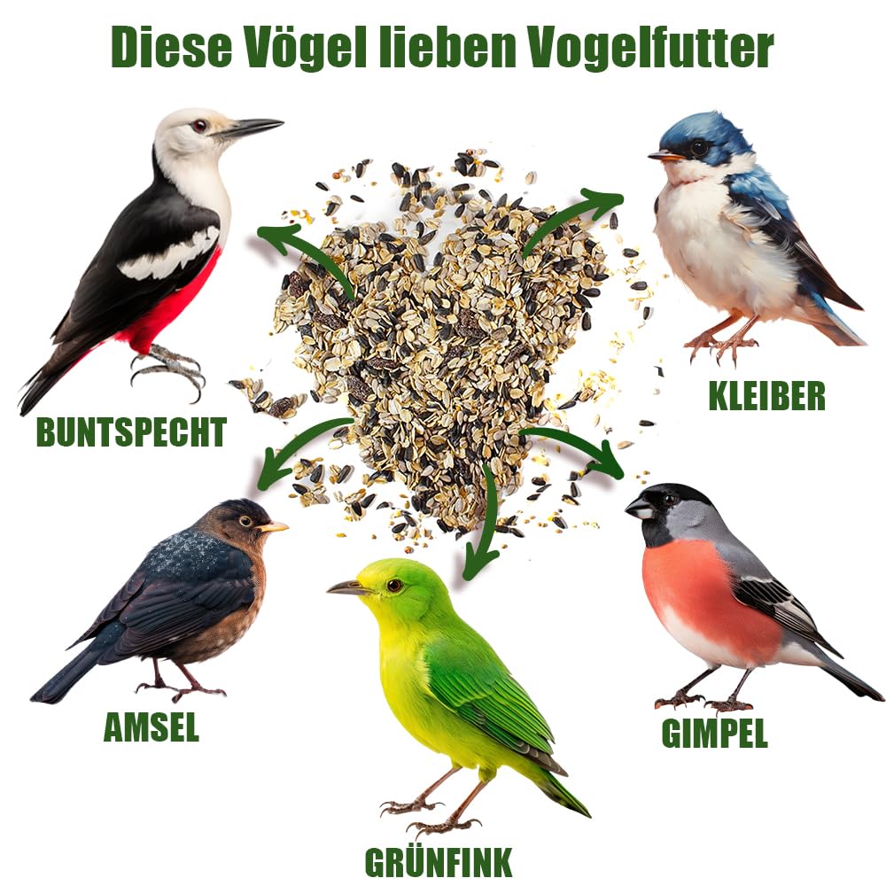 Semi Di Girasole Per Uccelli Mangime Per Uccelli Selvatici DTPSoft - Mix B ( 25kg), Per Tutto L'Anno Mangime Per Uccellini Selvatici - Foto 12