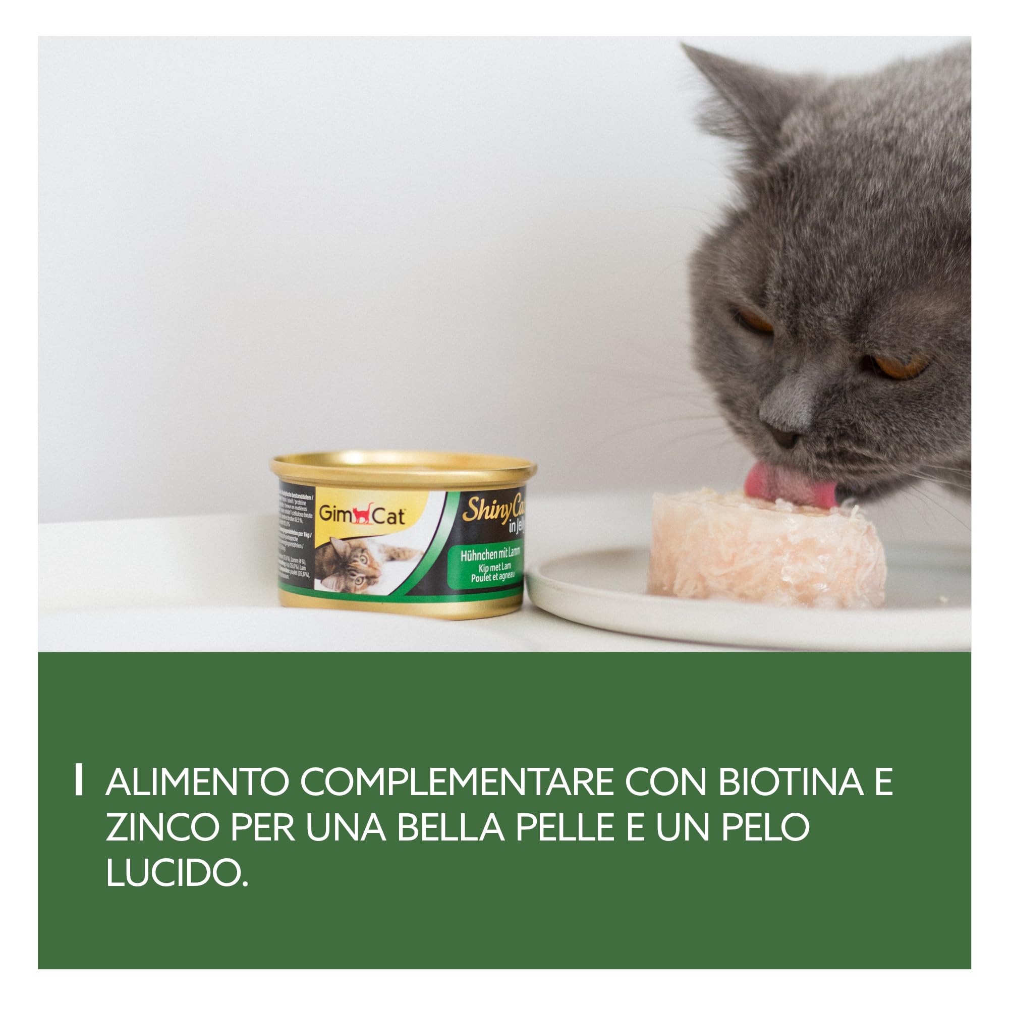 GimCat Superfood ShinyCat Duo Tonno con zucchine, Mangime per gatti con filetto succulento senza aggiunta di zuccheri per gatti adulti, 24 scatolette, 24 x 70 g
