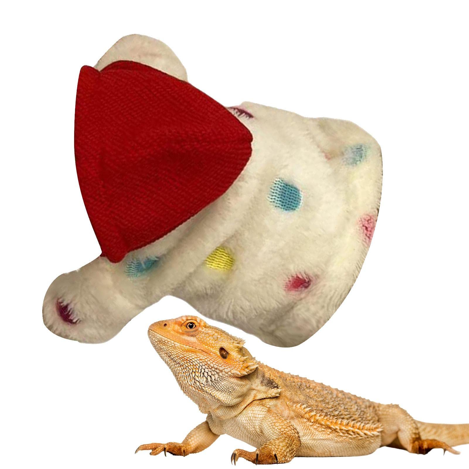 Hoodies For Bearded Dragons Lizard Clothes Bearded Dragons Reptile