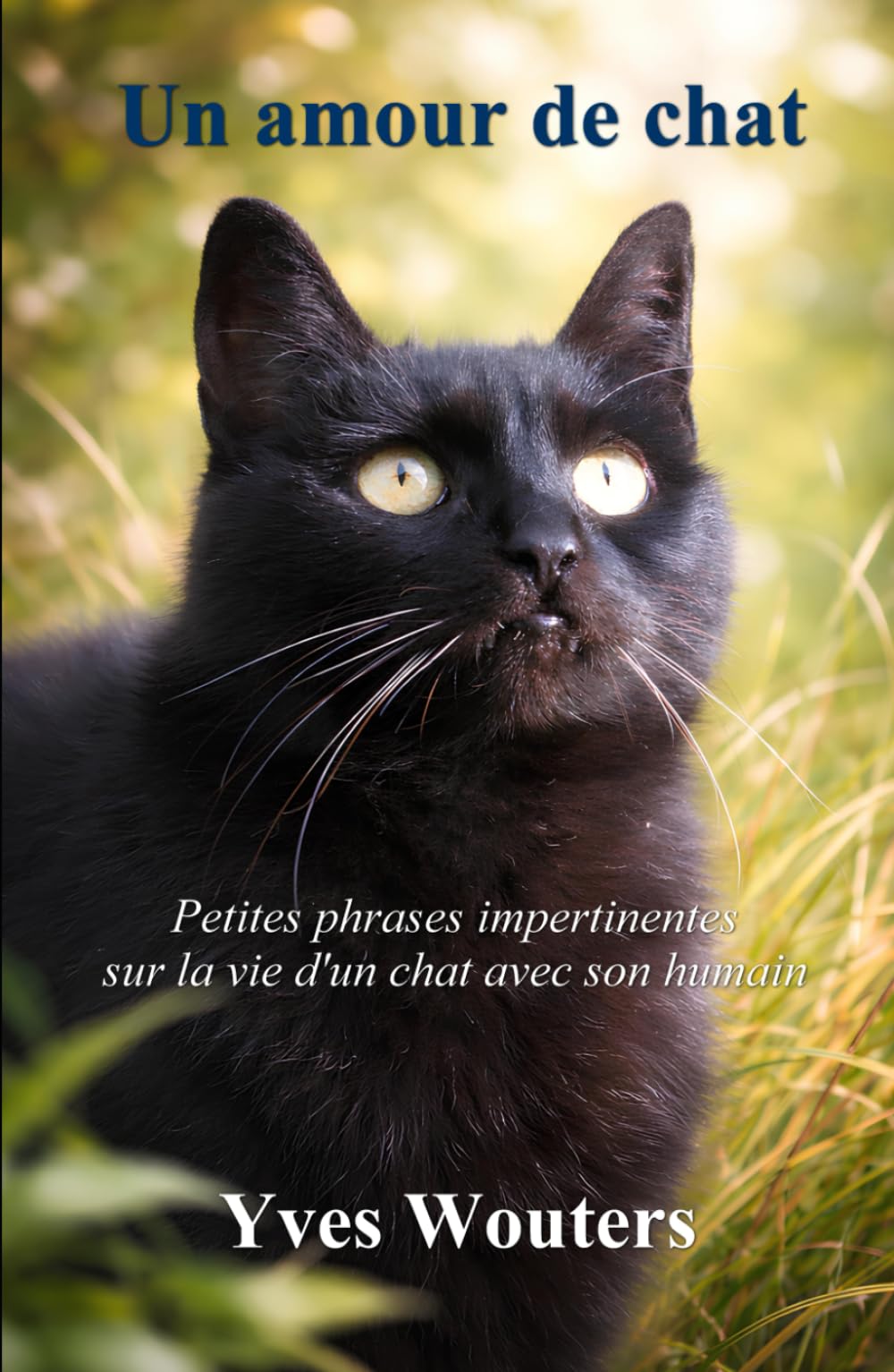 Un amour de chat