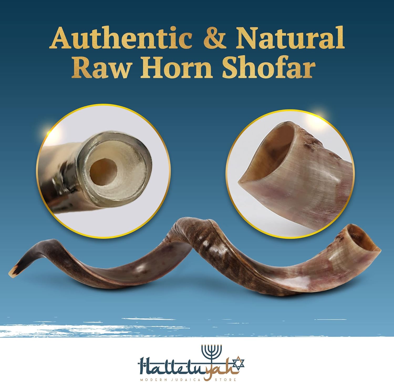 Buy Shofar withLion of Judah Decoration 925 sterling silver & 9K Gold