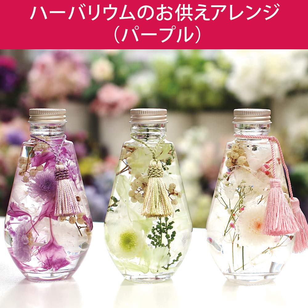 Amazon｜プリザーブドフラワー IPFA ハーバリウム お供え【パープル 菊