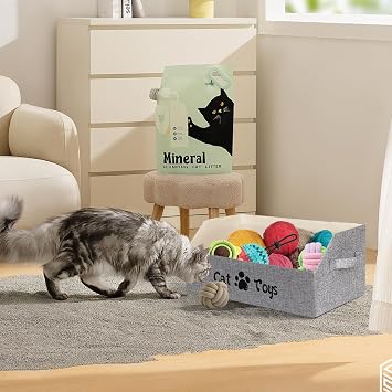 Large Size Cat Toy Box, 50x29x22 cm Collapsible Basket for Cats and Kittens, Pet Storage Box Chest Holder Organizer with Handles for Toys, Clothes and Accessories, Grey (For Cat)