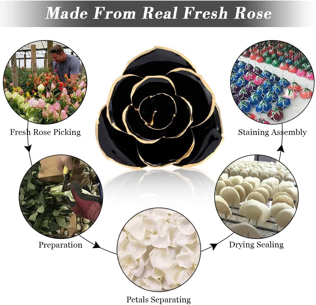 24K Gold Dipped Black Rose Long Stem Forever Preserved Rose Flowers, Christmas Day Valentine's Day Anniversary Birthday for Her Women Wife Mother Girlfriend, Black Rose with Stand image 4
