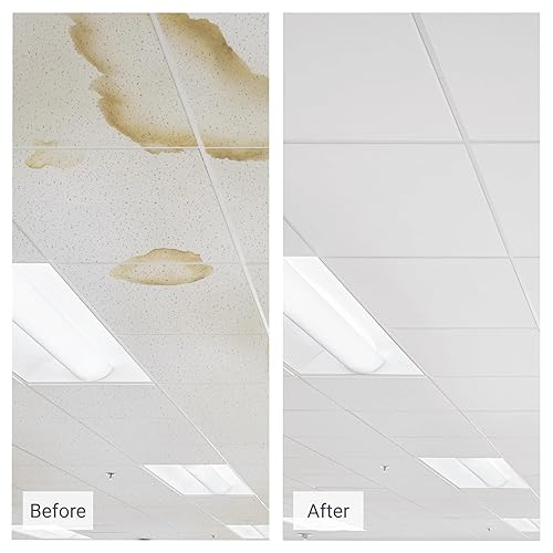 Miniatura 8 de Azulejo de techo, 24" W,24" L, 34" de grosor, PK12