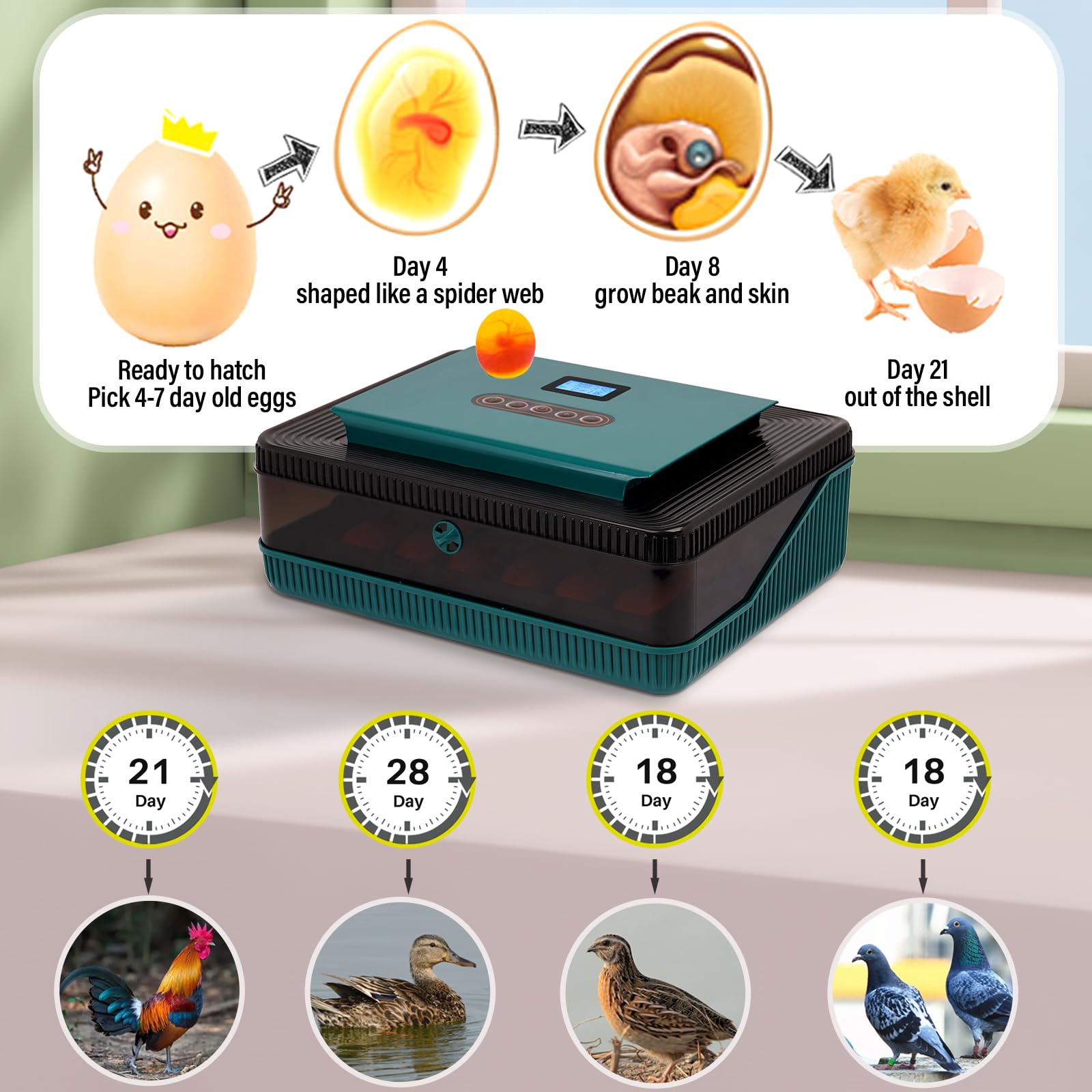 Incubadora AutomáTica de 25 Huevos con Volteo AutomáTico, Pantalla LED MultifuncióN y Control de Temperatura y Humedad Para Pollos, Patos y Ocas