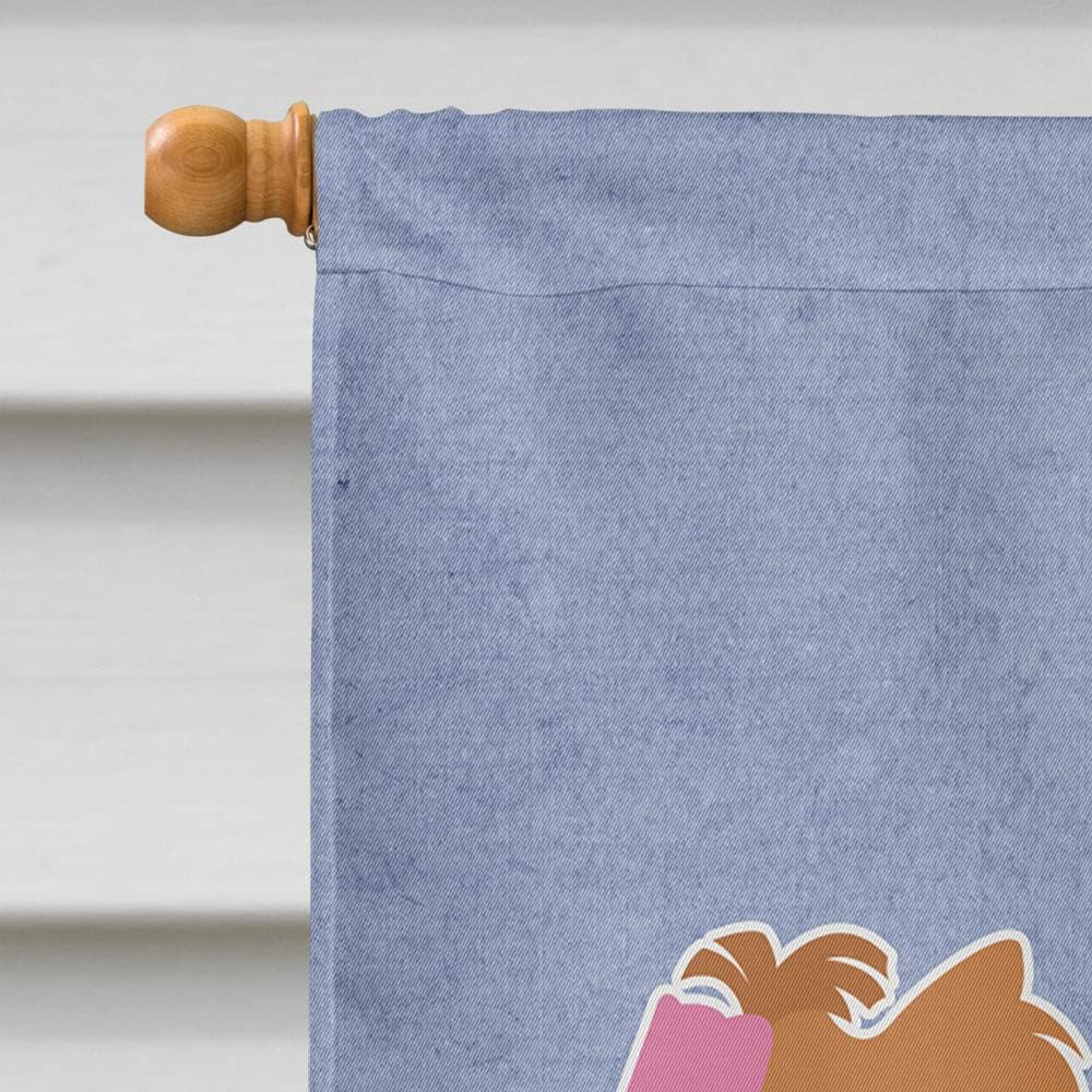 Caroline's Treasures BB5538CHF Yorkshire Terrier Yorkie Welcome House Flag Large Porch Sleeve Pole Decorative Outside Yard Banner Artwork Wall Hanging, Polyester, House Size, Multicolor