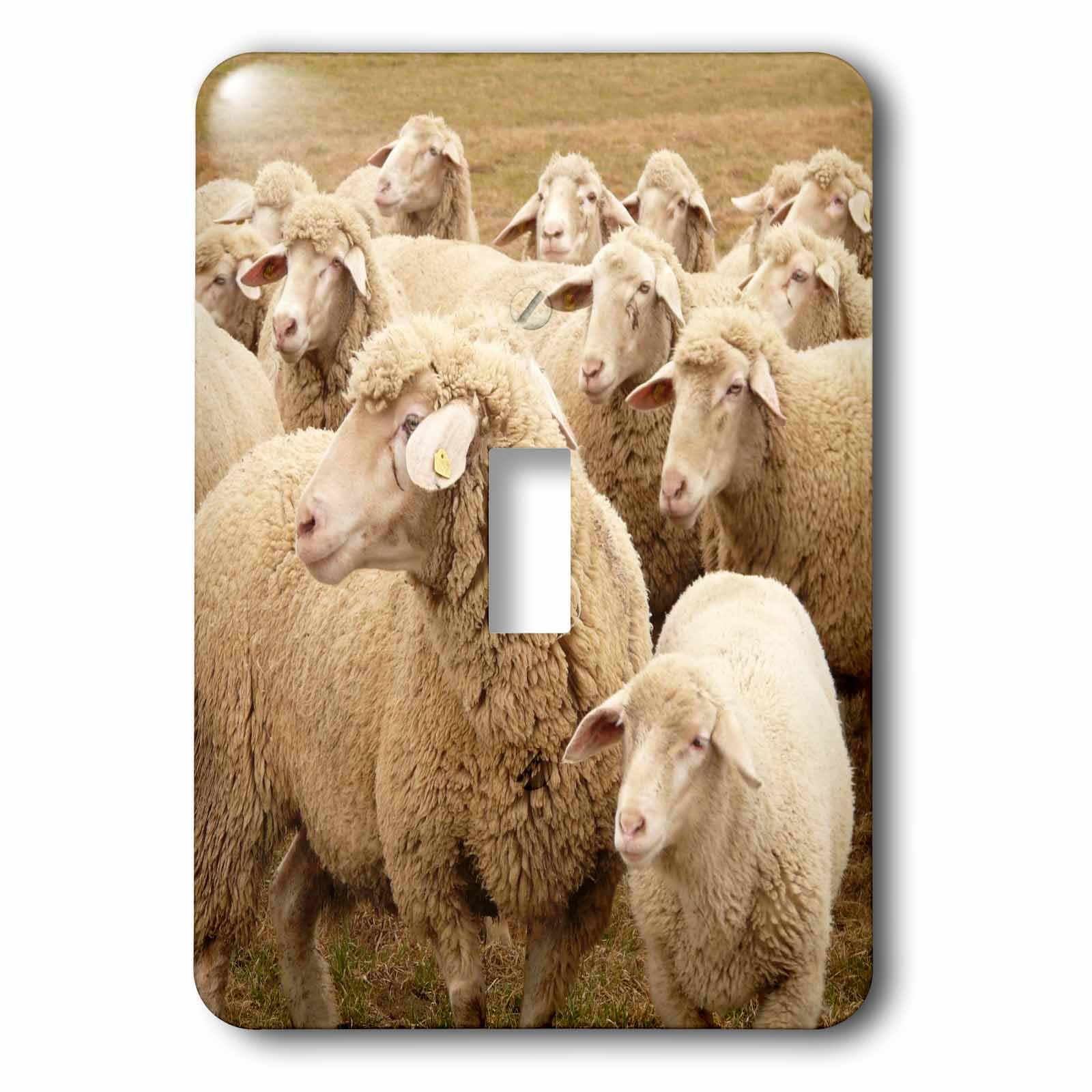 Sweet Sheep interrupteur simple 3dRose lsp_79142_1 à bascule haute finition