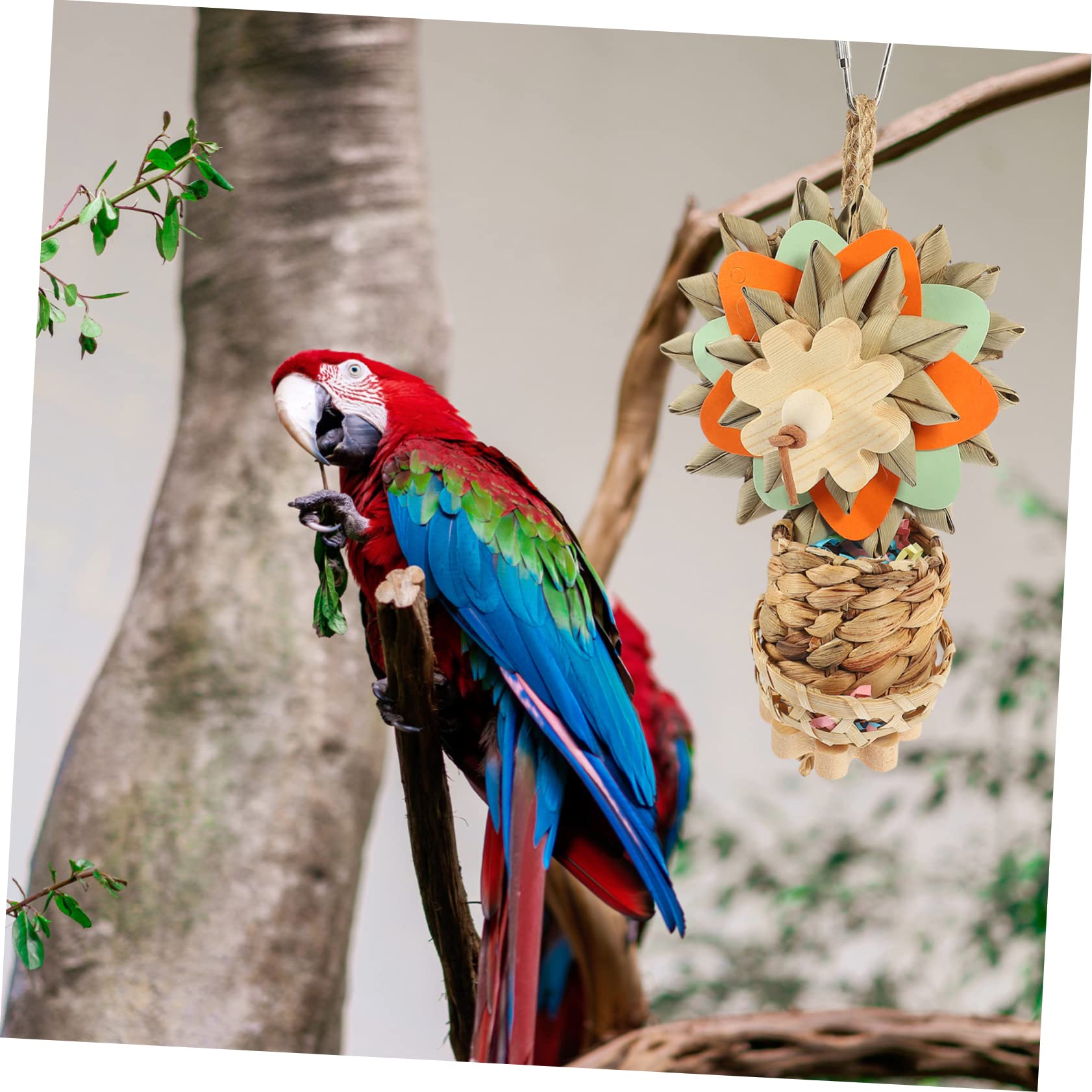 minkissy 5stücke Vogelspielzeug Aus Palmblättern Lustiges Kauspielzeug Für Papageien Hängendes Spielzeug Für Wellensittiche Sicher Und Langlebig Farbenfrohes Design Für Käfige Und