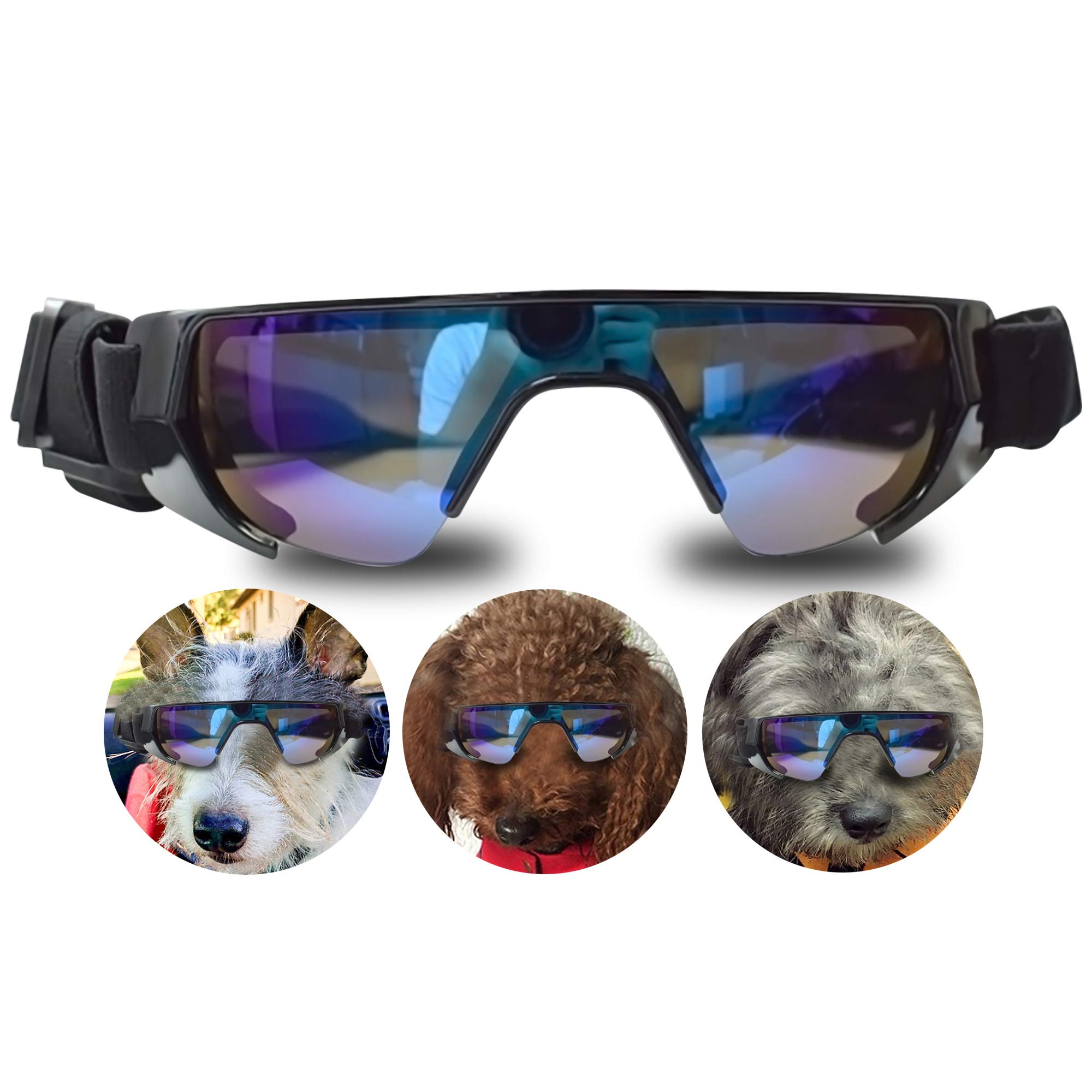 Lunettes pour petit chien URBEST pour balades en voiture et plage